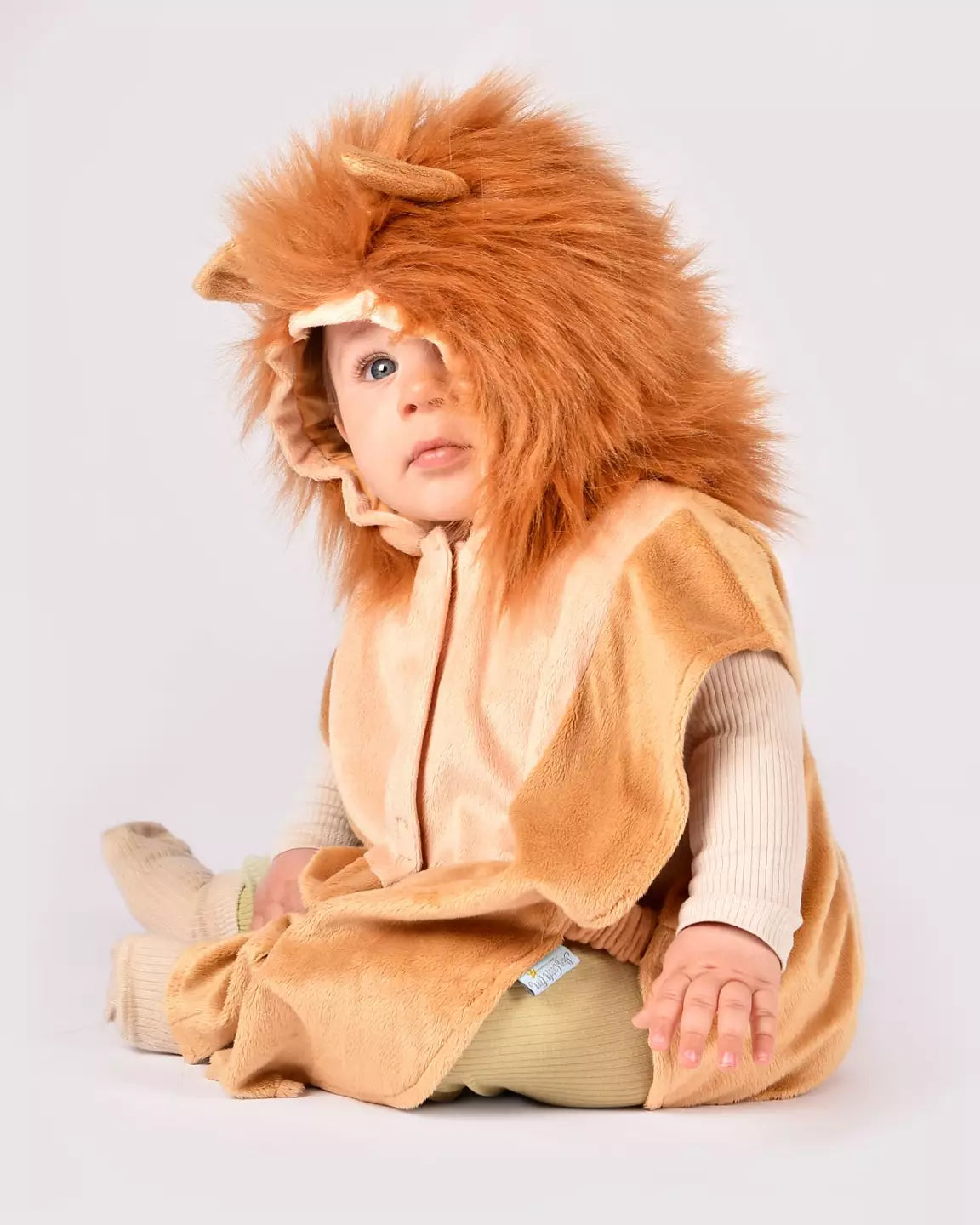 Babyumhang Löwe